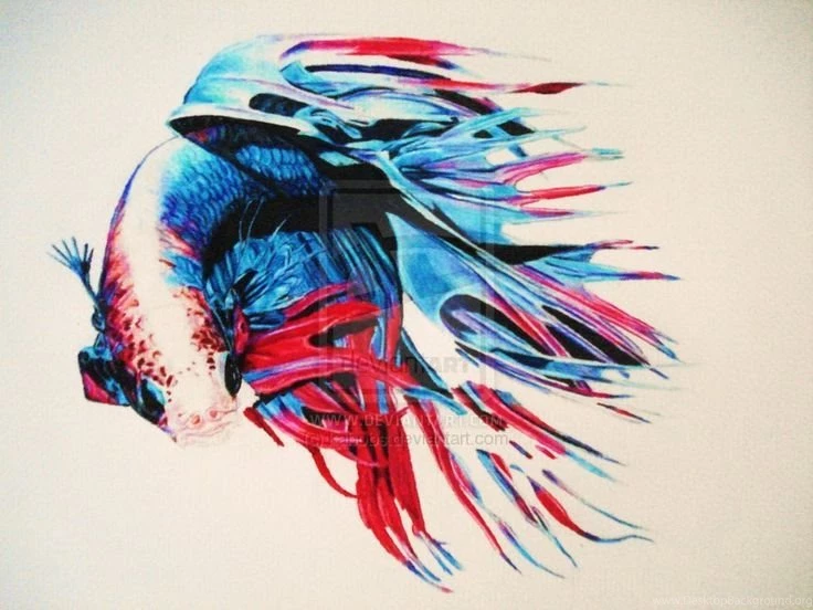 Mucho Liko On Pinterest