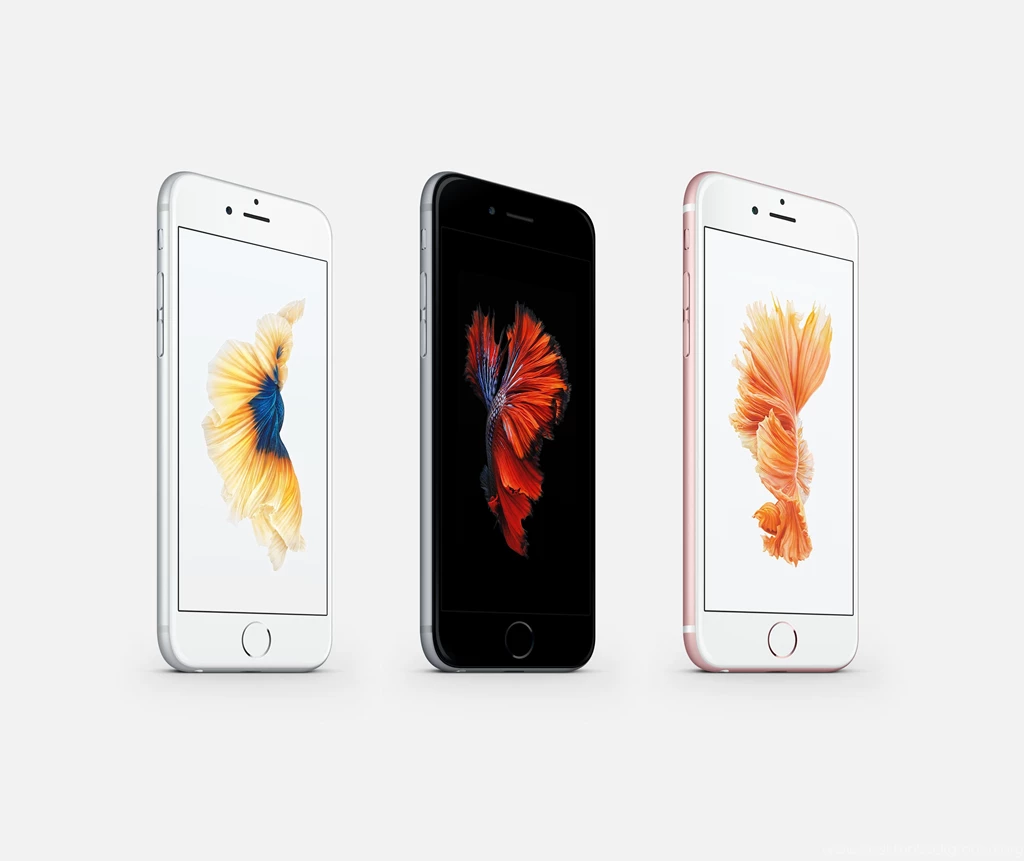 Apple Betta Fish Wallpapers By JasonZigrino On DeviantArt