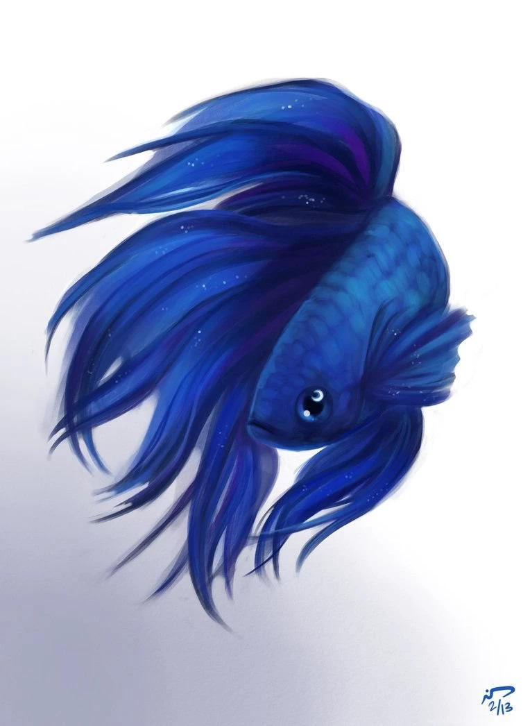 Moon Betta By Majoh On DeviantArt
