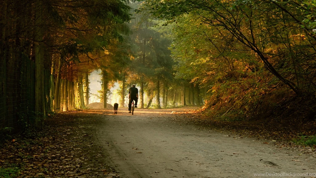 Download Wallpapers 3840x2160 Park, Road, Bike, Skate, Fall 4K ...