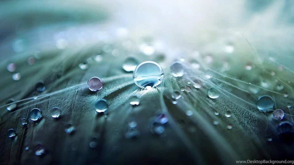 Download Free Live Wallpaper: Download Free Wallpapers For Android ...