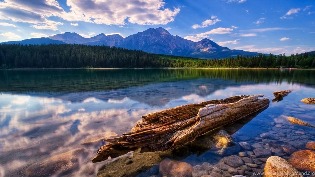 Magnificent Summer Scenery HD