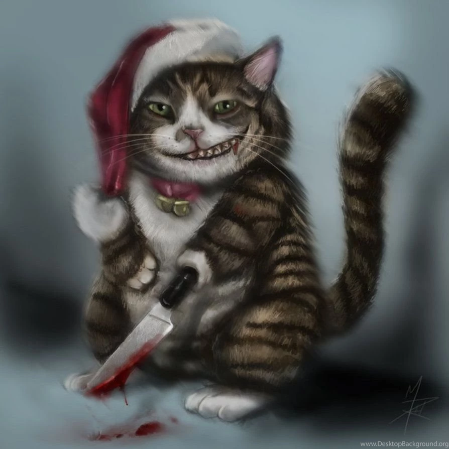 Crazy Cat By Mrahart On DeviantArt
