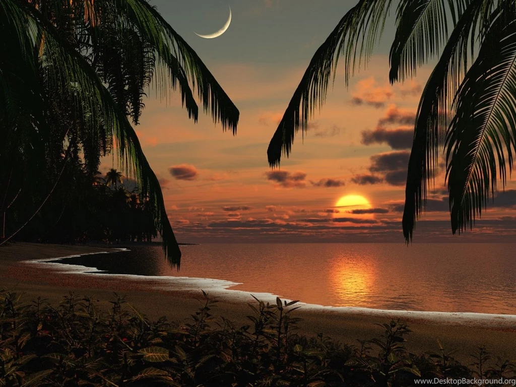 Download Wallpapers 1600x1200 Coast, Morning, Sun, Dawn, Moon, Sky ...