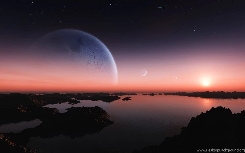 Free Download Purple Flowers HD1 Wallpapers