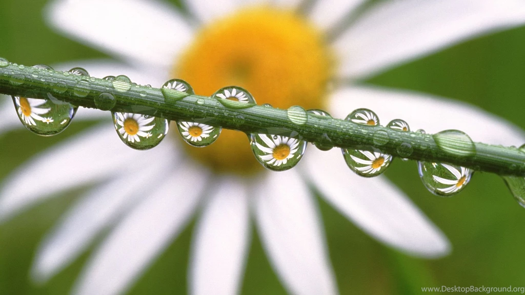 Unique Pictures Of Nature Wallpapers HD Wide