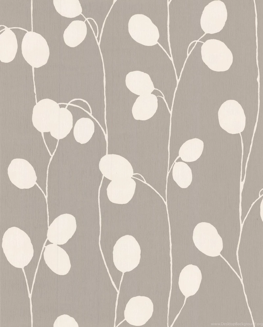 Honesty: Taupe Wallpapers   Designer Wallcovering   Designer ...