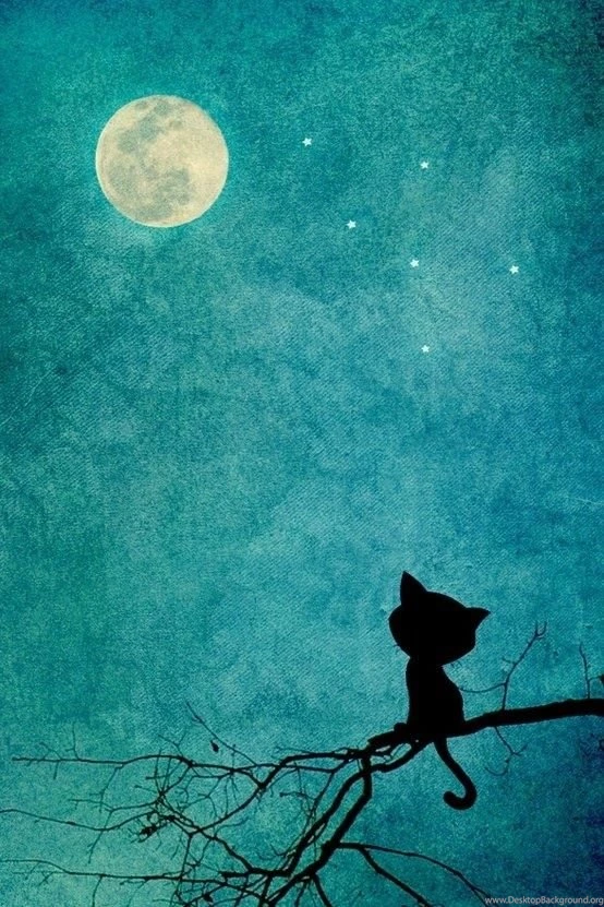 Wpid jmfsrftvhq8rloi avmhpjzy4t0mi5iqmbdn vtwkvnnadpz1a6rx1mbrmmefd04v4m8wq5hoazdxpeqn3mhtznv3sxlgnm1xkfy40  ...