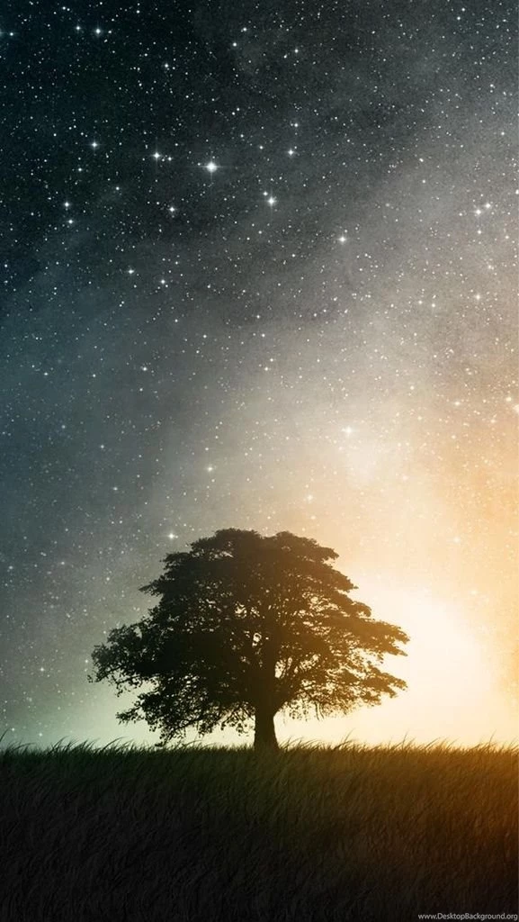 Got Any Cool iPhone 5 Wallpapers? : Poppunkers