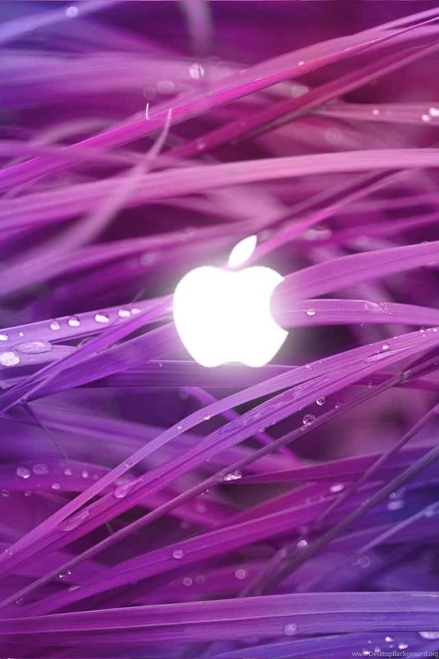 Best Iphone Wallpapers