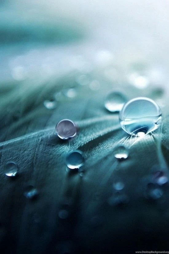 Showcase Of 50 HD iPhone Wallpapers