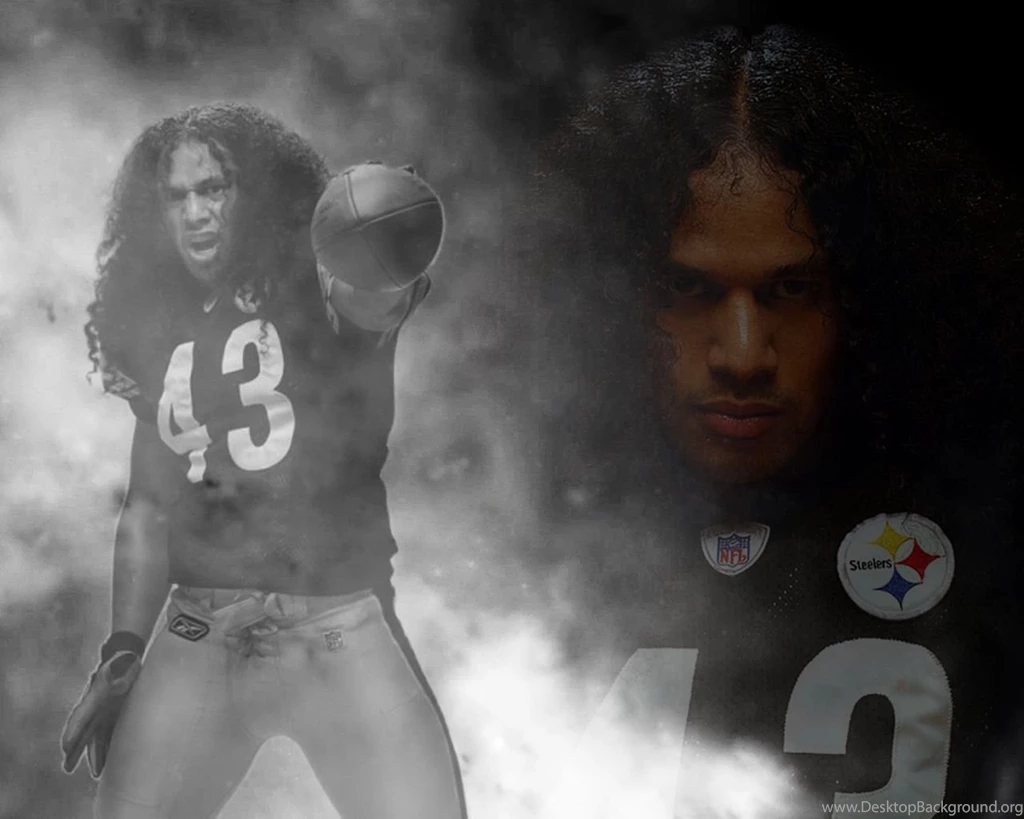 Troy polamalu 4.jpg