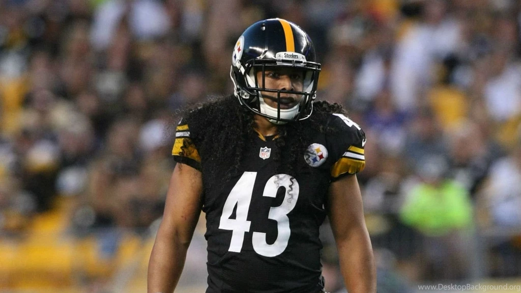 Who Better Than Troy Polamalu To Get In His Teammates Faces?