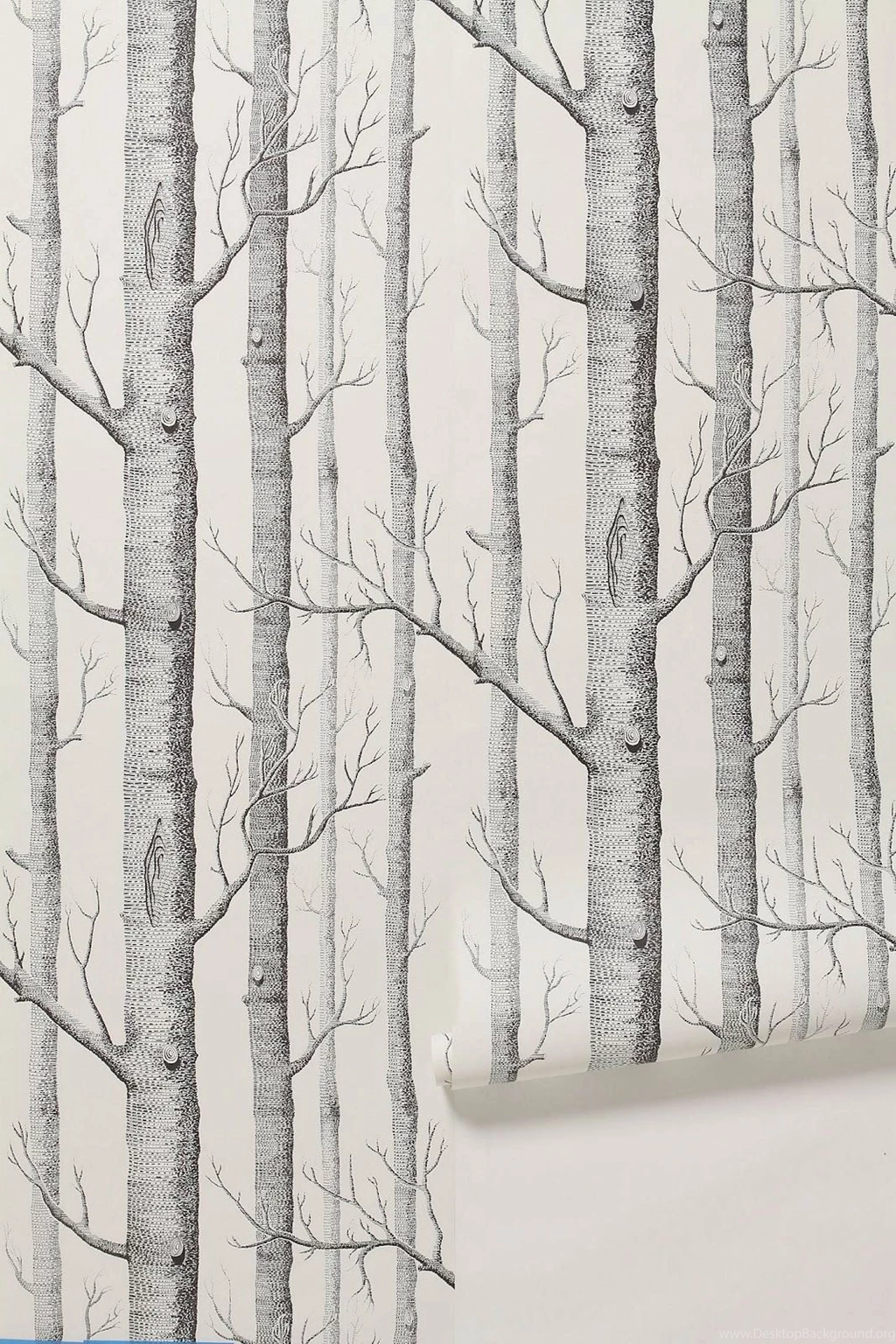 Black And White Trees Wallpapers HD Wallpapers And Pictures