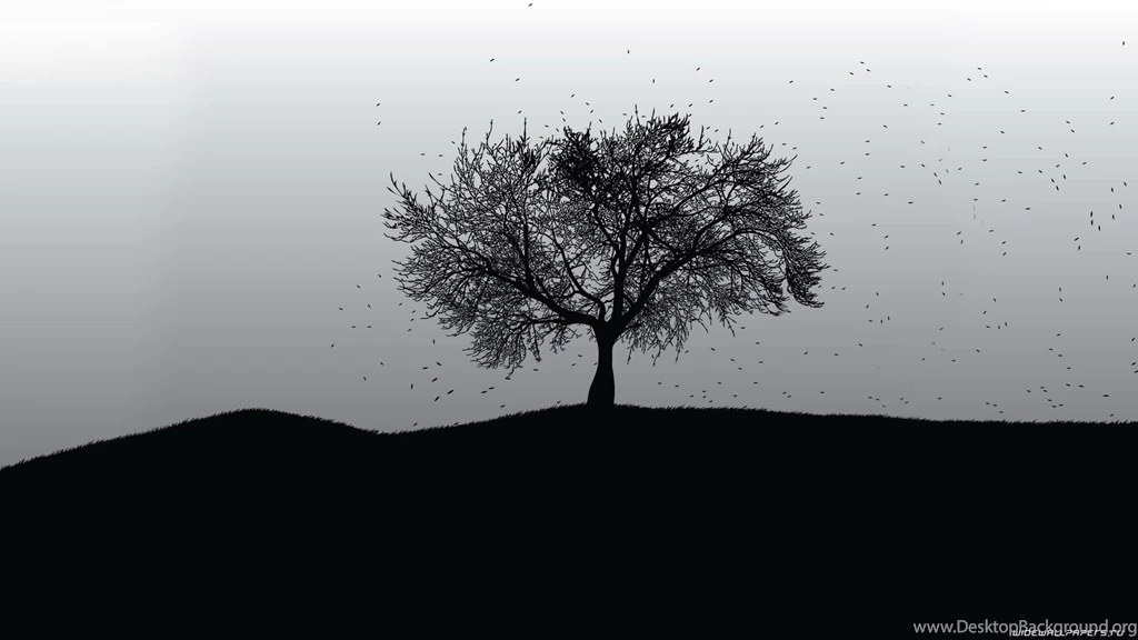 CF Image Host <   Black And White Tree Wallpapers 1920x1080