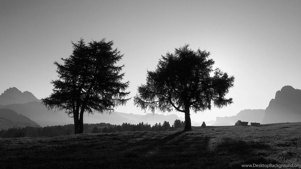 Download Wallpapers 3840x2160 Trees, Slope, Black and white 4K ...