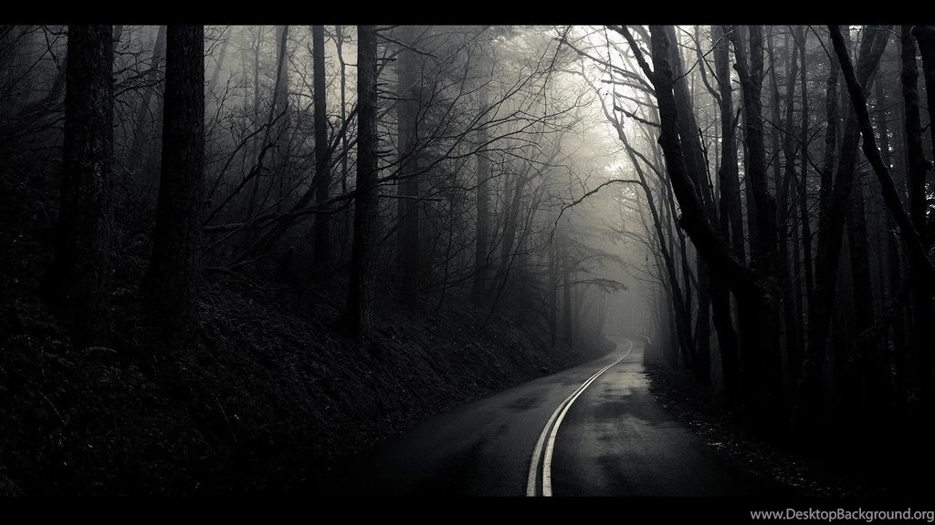 Black And White Landscapes Trees Fog Mist The Mist Roads ...