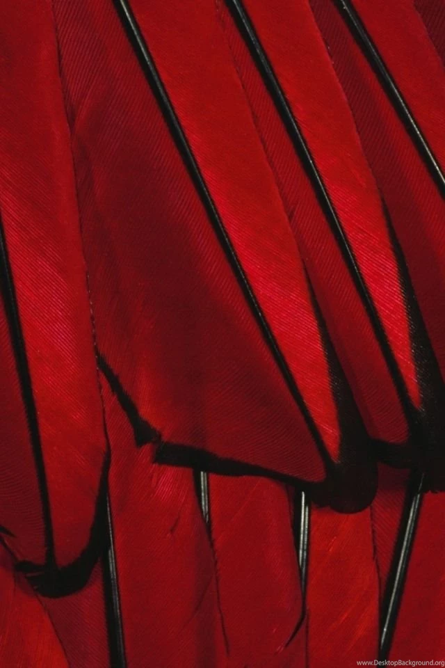 Page 3: iPhone 4S, 4 Black Wallpapers HD, Desktop Backgrounds ...