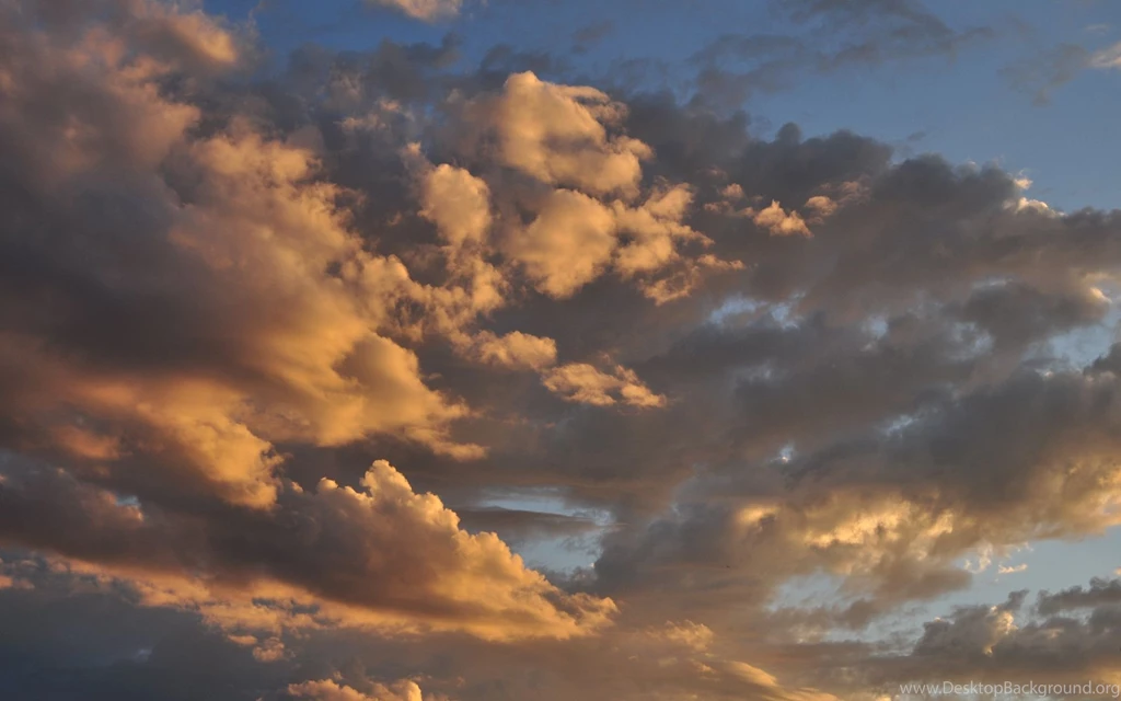 Windows 7 Wallpapers (1)