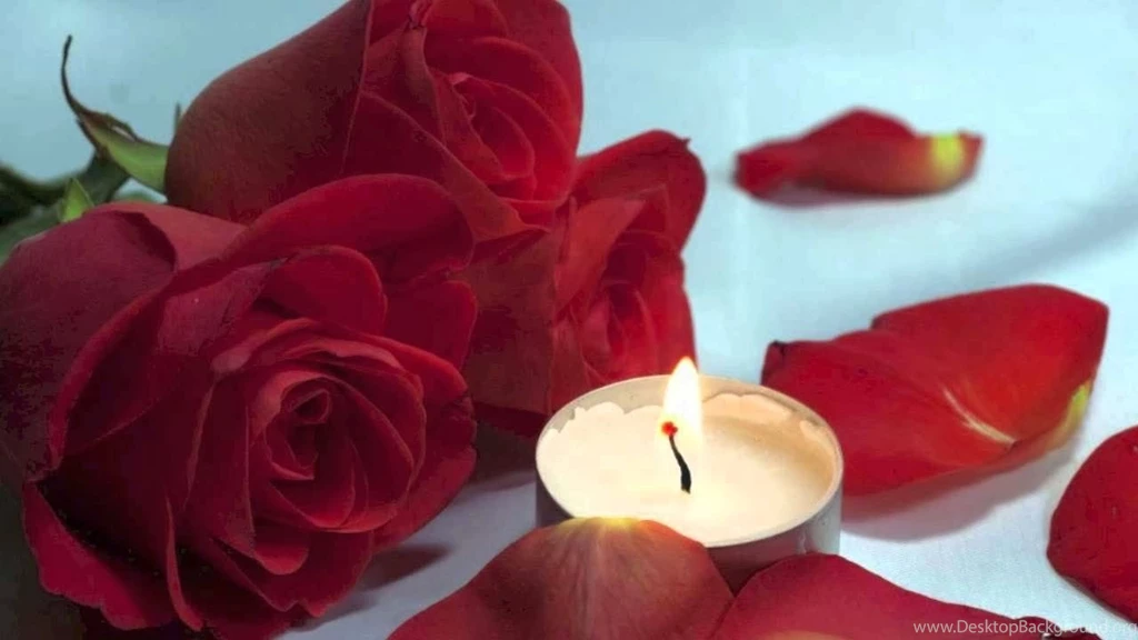 Red Rose Love Flower Pictures Wallpapers Free