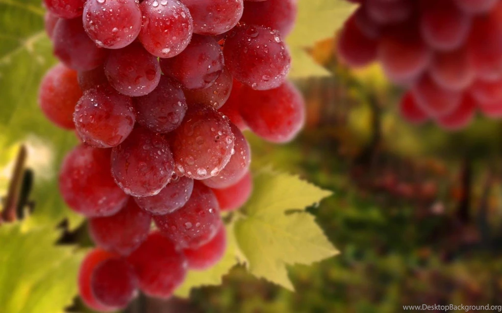 Grapes Desktop Wallpapers