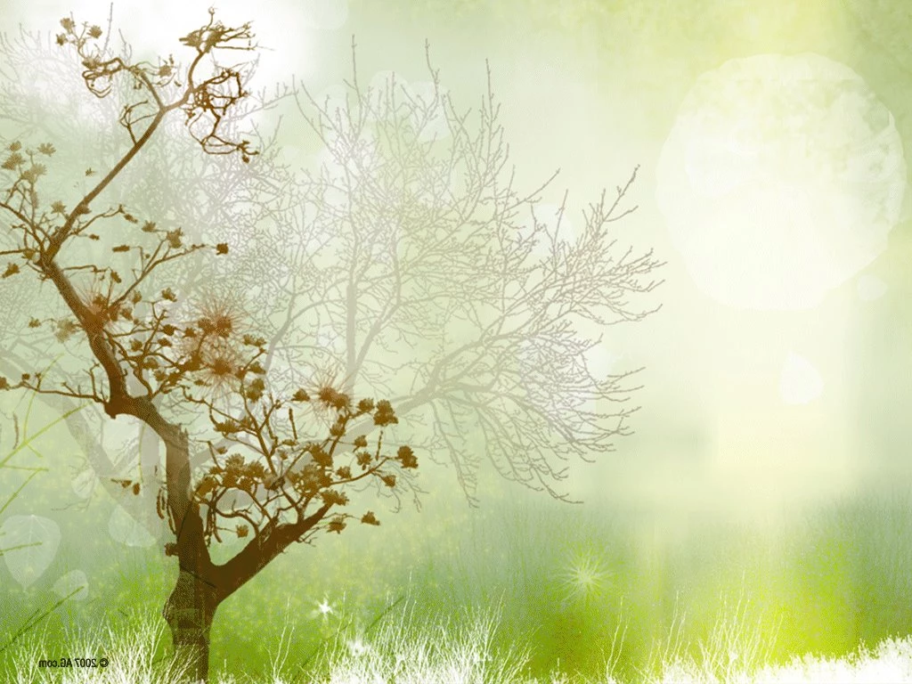 Lovely Backgrounds   Wallpapers Cave