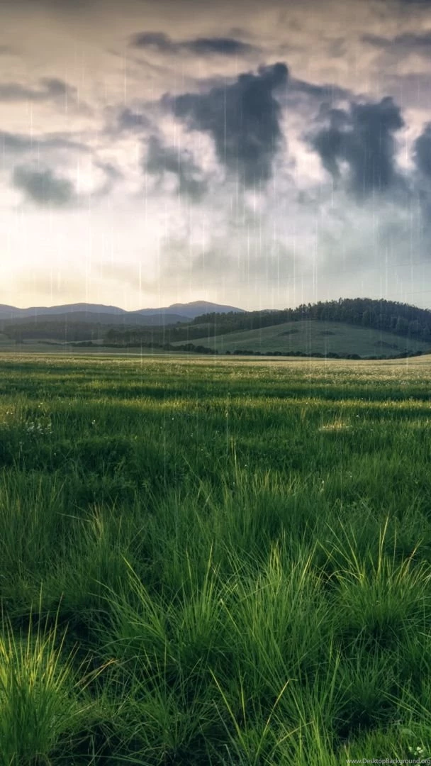 Homescreen