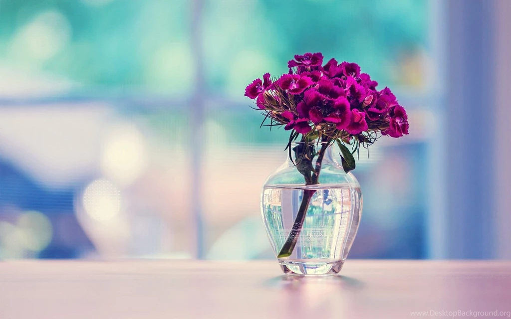 Lovely Table Flowers Wallpapers