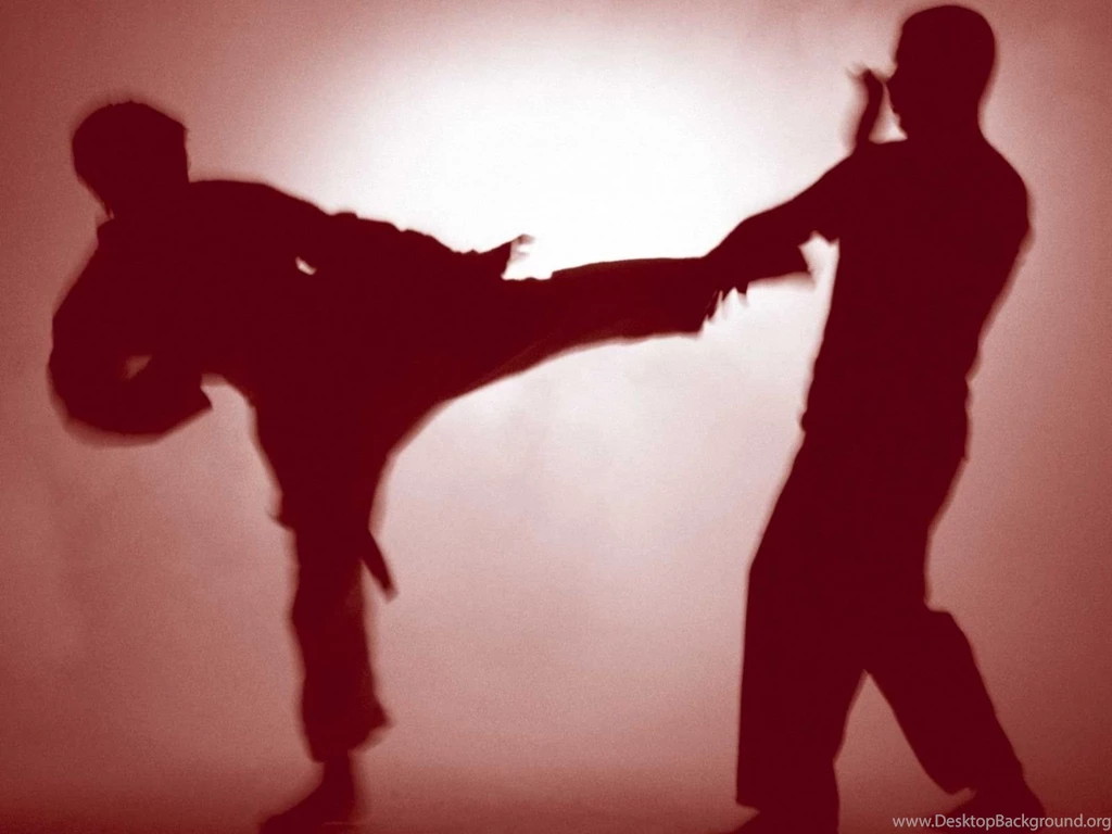 Martial Arts Wallpapers Free Download Wallpapers   Free Martial ...