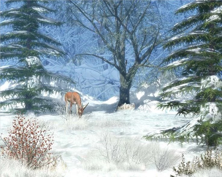 Free Animated Winter Desktop Wallpapers