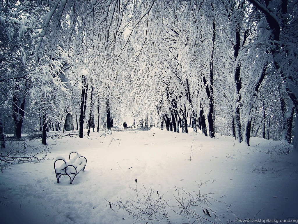 Winter Snow Scenes Wallpapers 2015 Grasscloth Wallpapers