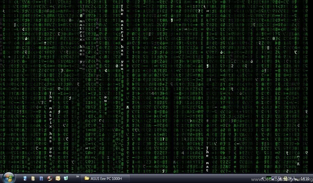 Amber Rose Fashion: Moving Matrix Wallpapers