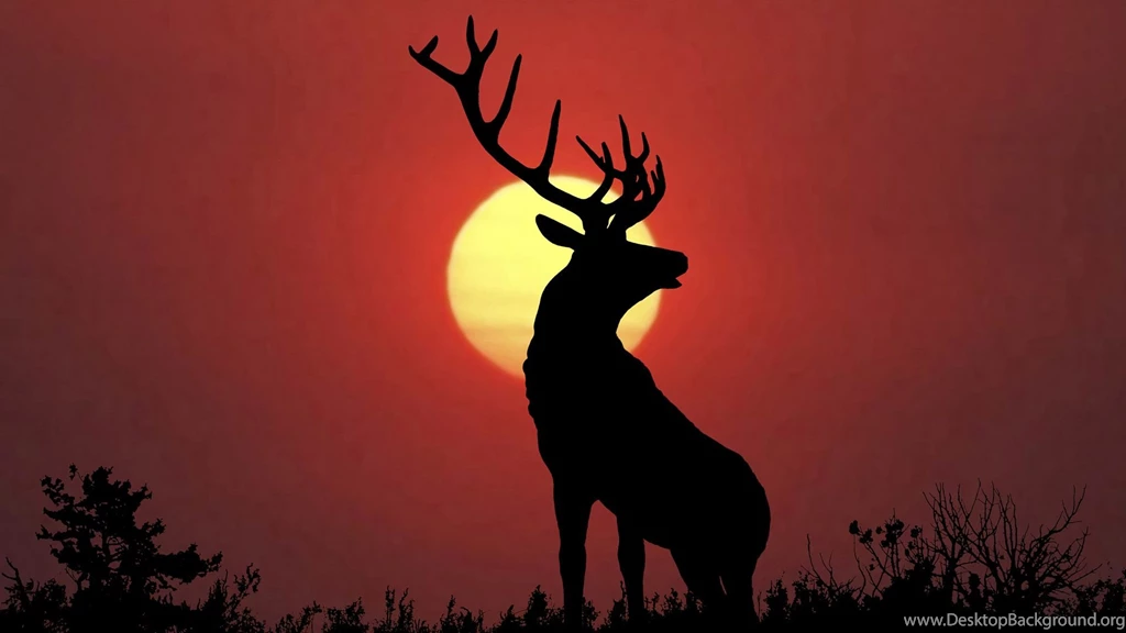 1920x1200] What's The Best Wallpapers You've Ever Seen? This Is ...