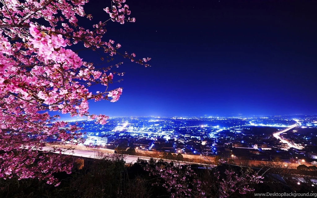 Cherry Blossom Tree Desktop Wallpapers , New Wallpapers, New ...