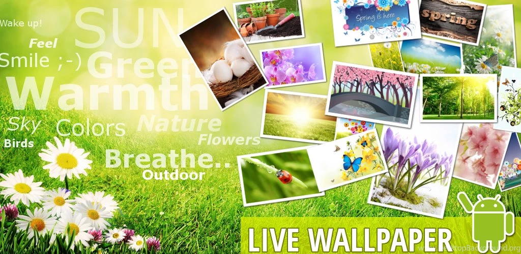 Spring Time HD Android Live Wallpapers