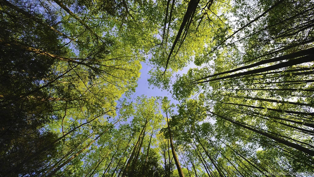 InterfaceLIFT: 1080p Wallpapers Sorted By Date