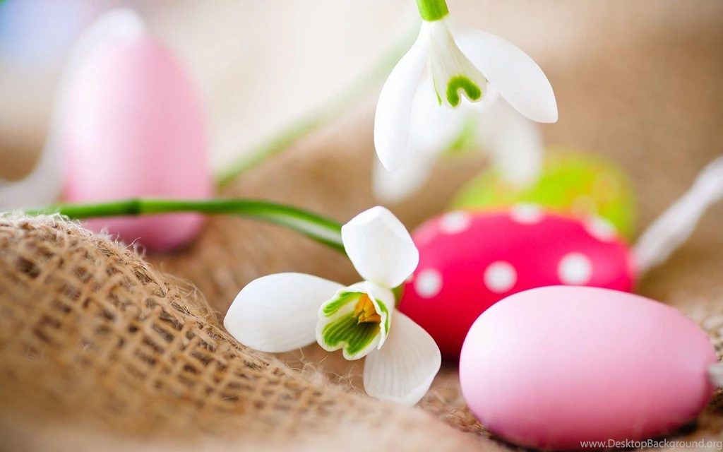 Spring For Hope >> HD Wallpaper, Get It Now!