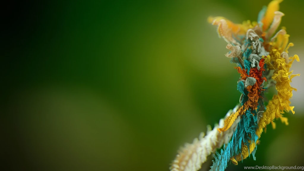 50 Fresh HD Wallpapers