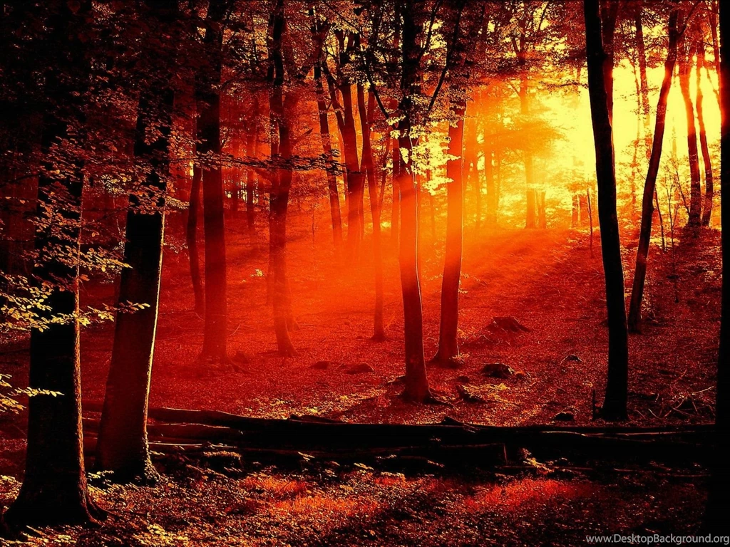 Nature_landscape_wallpaper_43 1600x1200.jpg