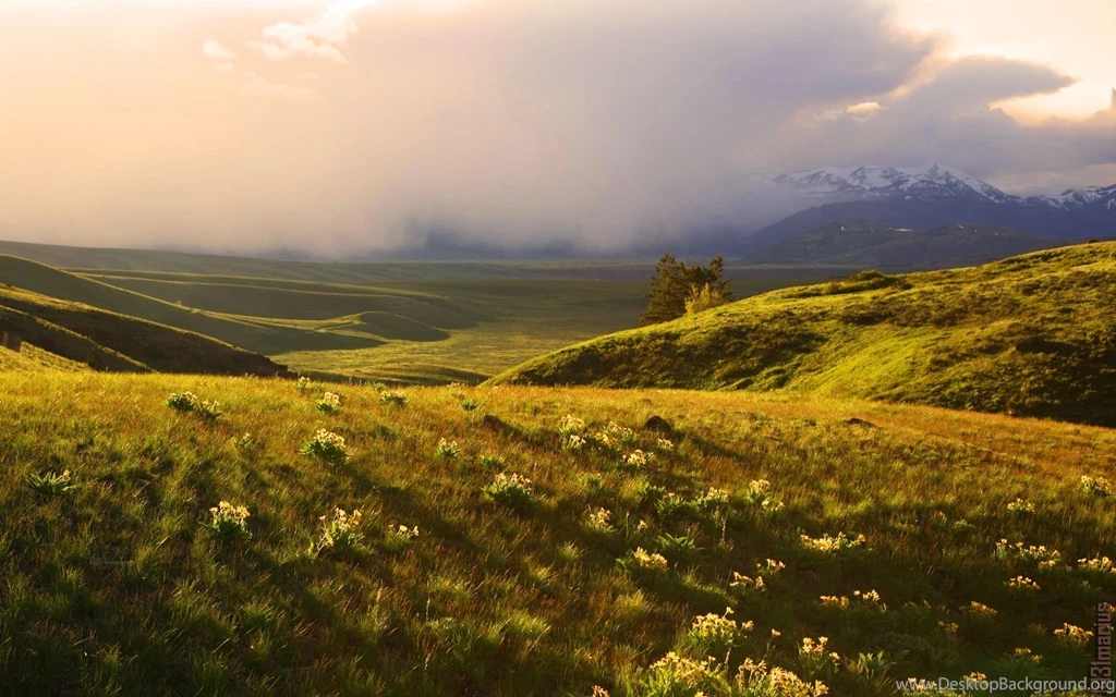 Landscapes Nature Wallpapers