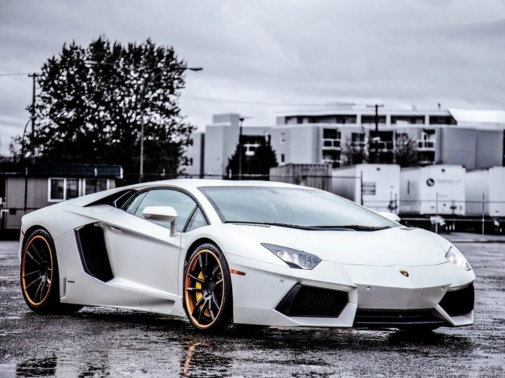 Lamborghini Aventador White Colour Wallpapers H