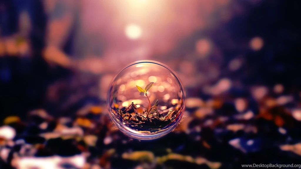Nice Photography HD WallpaperWelcome To StarChop