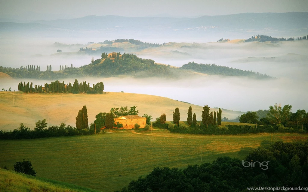 Bing Bing Wallpapers 22688   Desktop Wallpapers   System Wallpapers