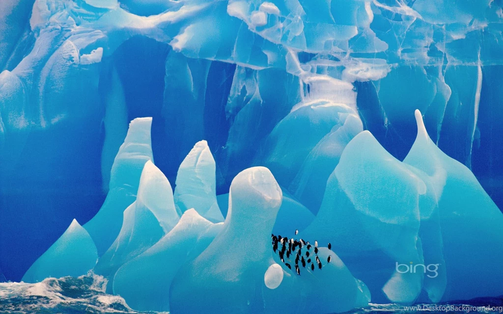 Bing Bing Wallpapers 22923   Desktop Wallpapers   System Wallpapers