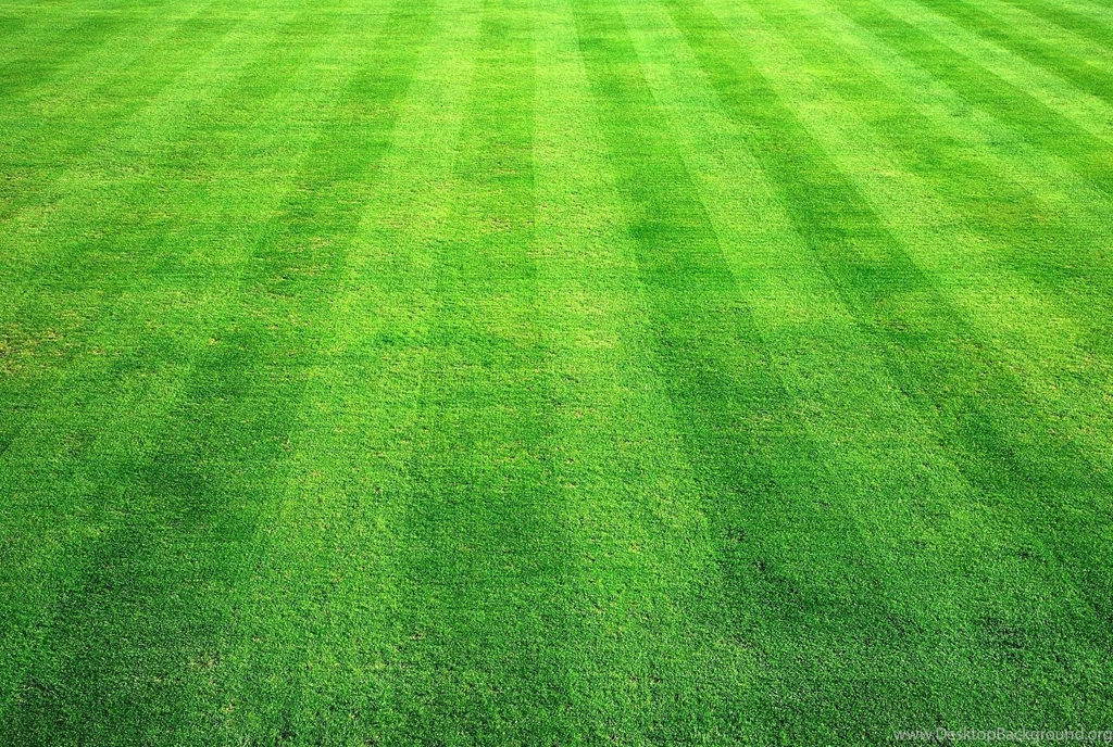 3ds_grass_texture241_173.jpg