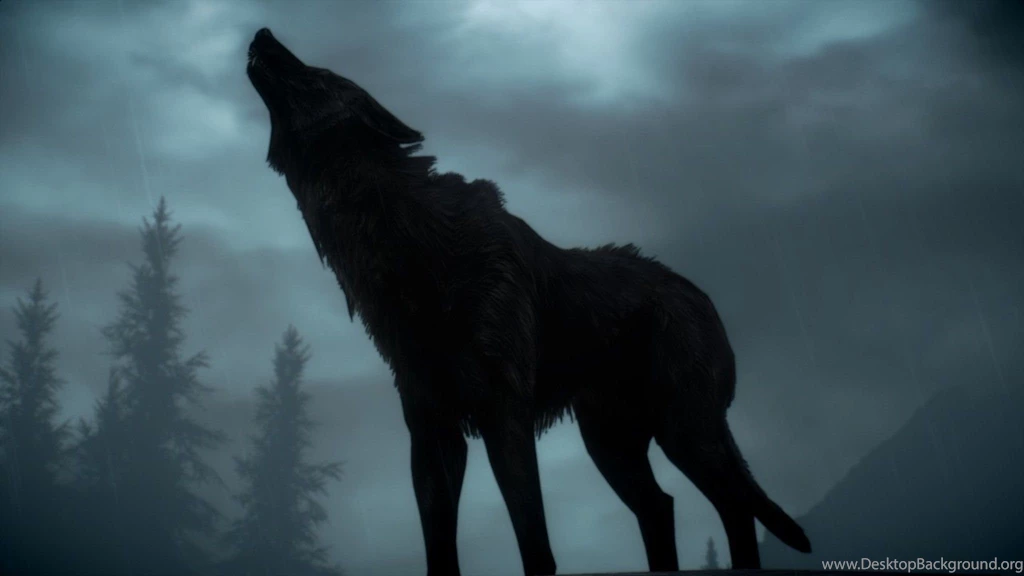 Scrolls V: Skyrim Clouds Video Games Wolves Wallpapers ...