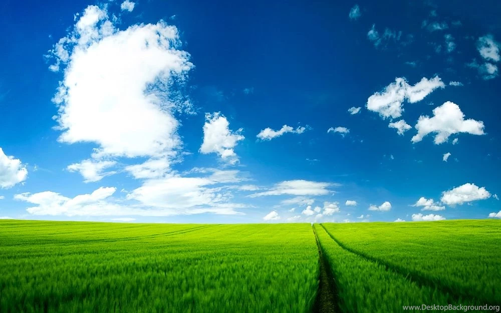 Summer Wallpapers V By SvenMueller On DeviantArt