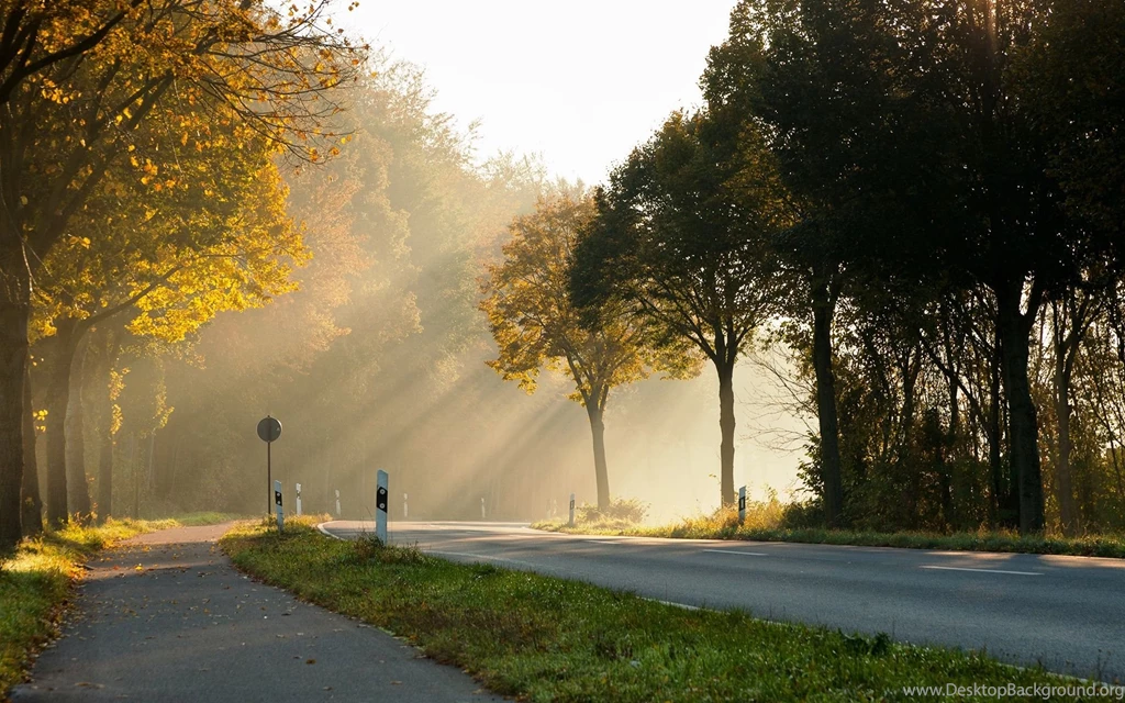 Good Morning Images Free Download Good Morning Wallpapers