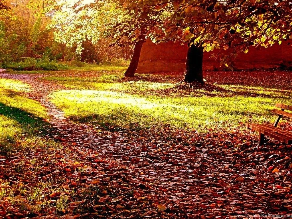 Good Morning The Wallpapers Free Download