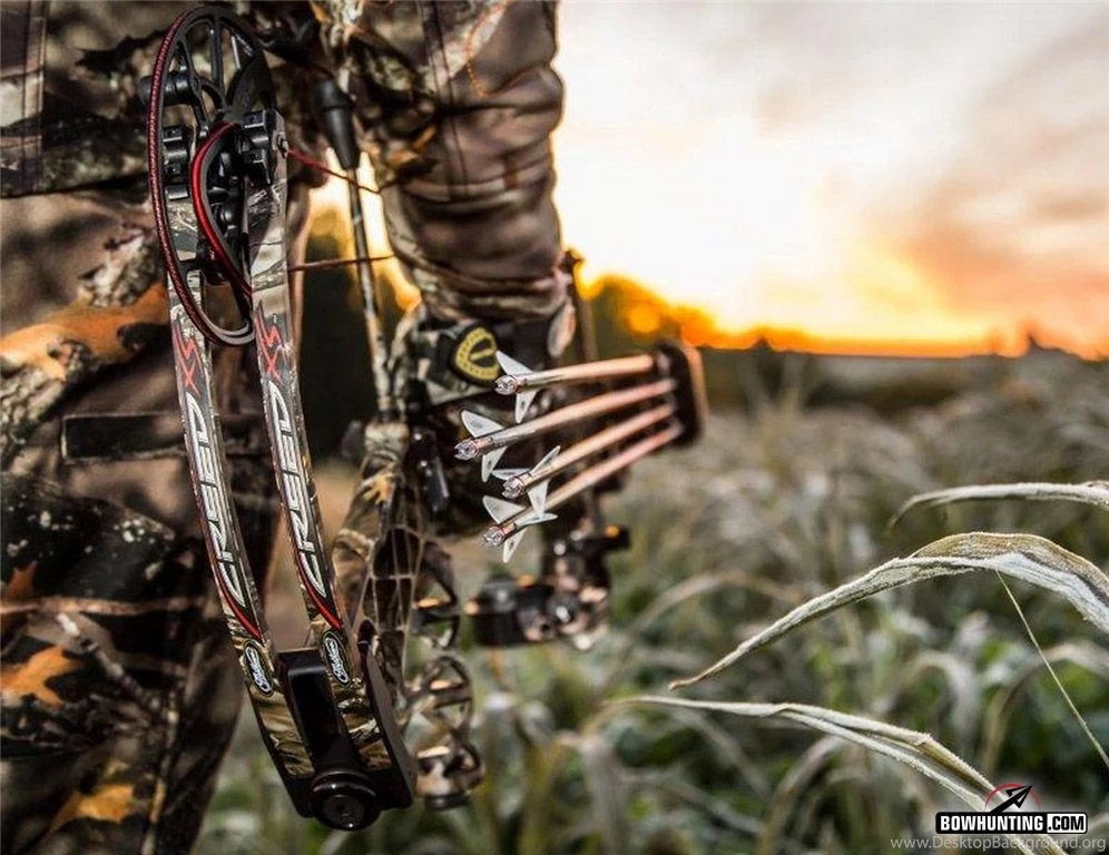 Mathews creed xs 2014 03.jpg